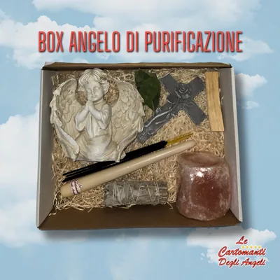 Box Angelo di Purificazione – foto 1