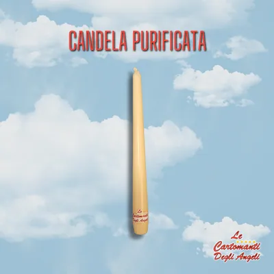 Box Angelo di Purificazione – foto 3