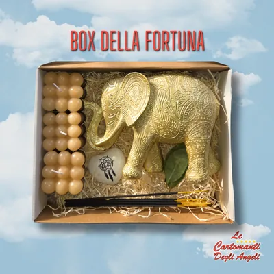 Box della Fortuna – foto 1