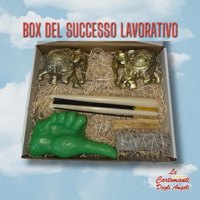 Box del Successo Lavorativo – foto 1